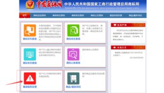 商标注册公告阶段发现公司名称错误（商标局责任）处理指南