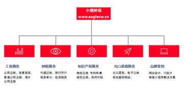 一站式企业服务 公司注册、财税管理、知识产权全解析